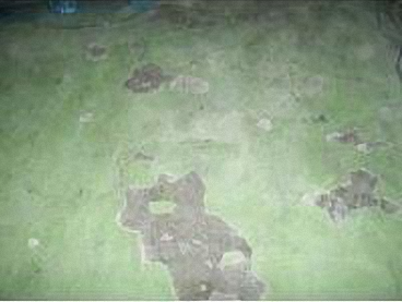 滄晟地坪漆_廠房地坪為何要進(jìn)行翻新的五大項(xiàng)！